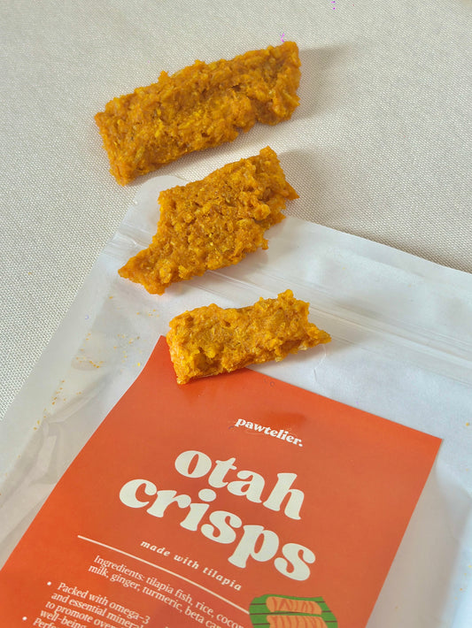 Otah Crisps